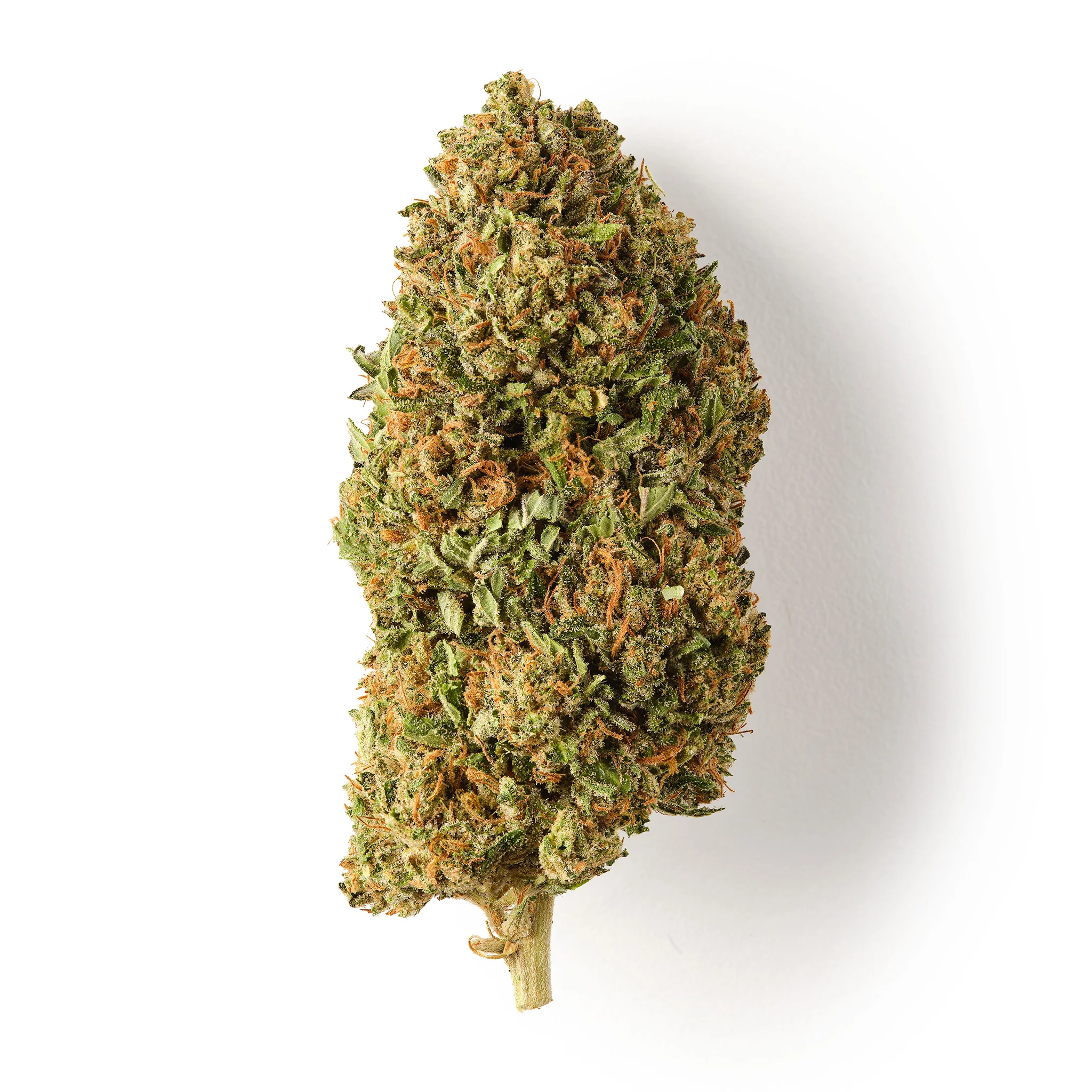 CBD Promotions